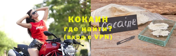 спиды Богородицк