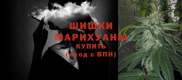 спиды Богородицк