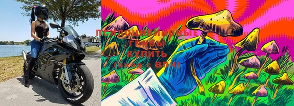 дурь Богданович