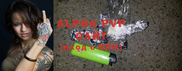 спиды Богородицк