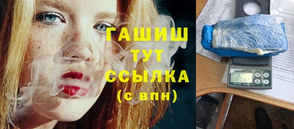 спиды Богородицк