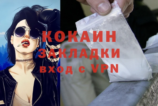 дурь Богданович