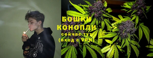 спиды Богородицк