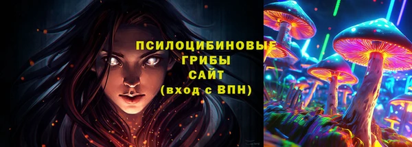 jwh Богородск