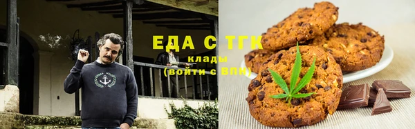 спиды Богородицк